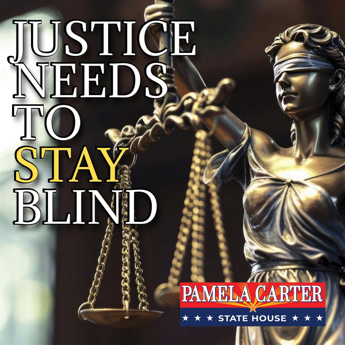 We must not allow our legal system to become a tool for political gain. Instead, our legal system should adhere to the law and not manipulate it to target political opponents. Please support me at pamelacarter.com for AZ LD4.