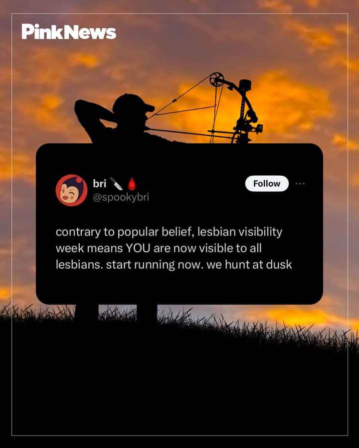 I'm bi but this still made me laugh!