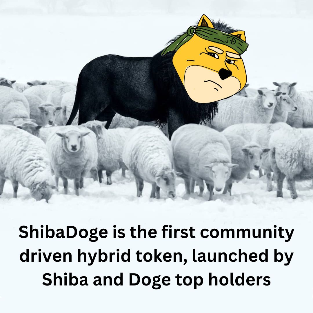 Join the beasts... 😤

Missed #Shiba? Missed #Doge?
Don't miss #ShibaDoge!

t.me/ShibaDoge_Labs
ShibaDoge.com