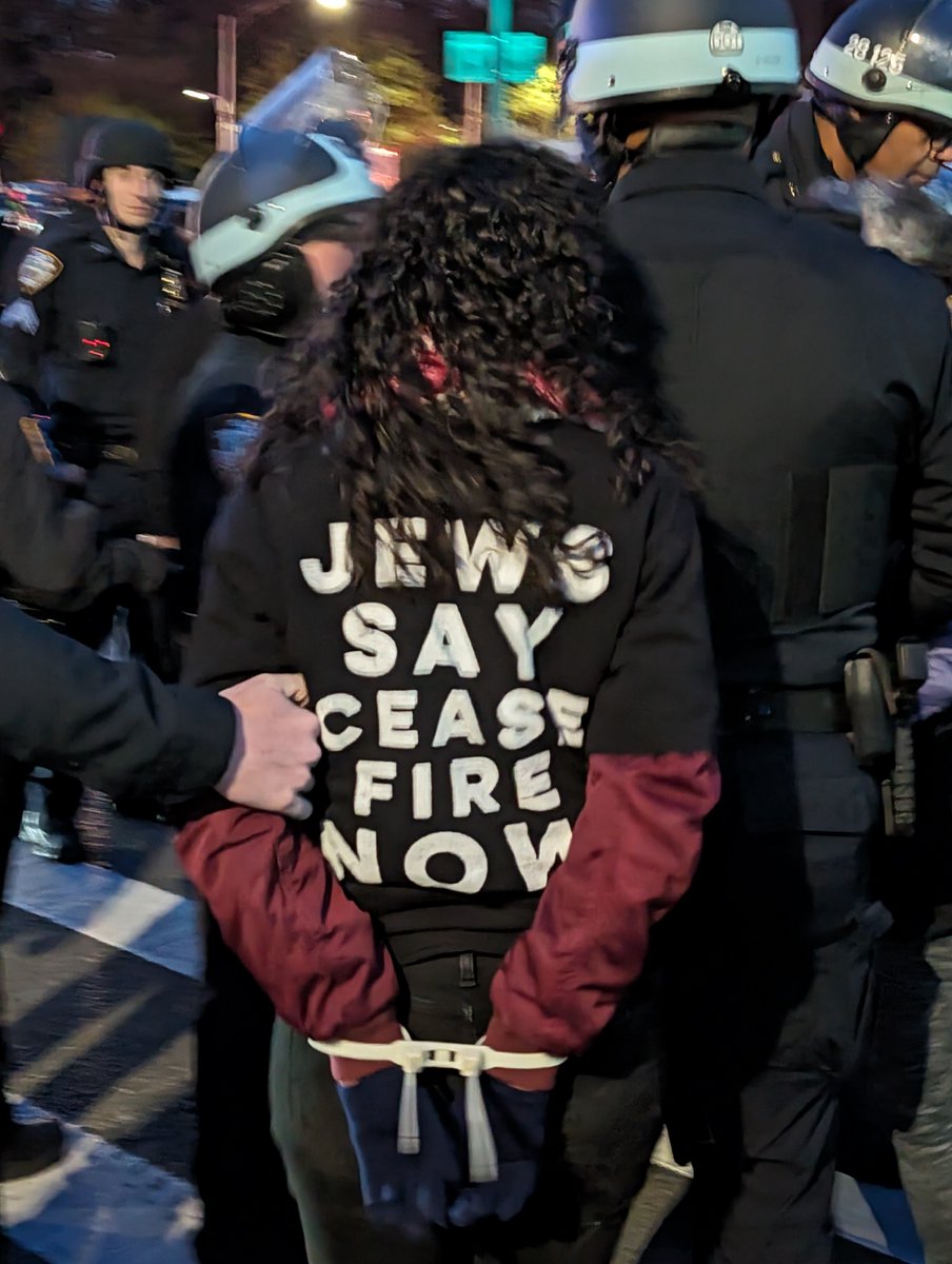 after covering the big JVP protest in Brooklyn earlier this week, a woman walking the same direction home said she was a former German police officer and was totally shocked that hundreds of peaceful protesters were all being handcuffed with zip ties.
