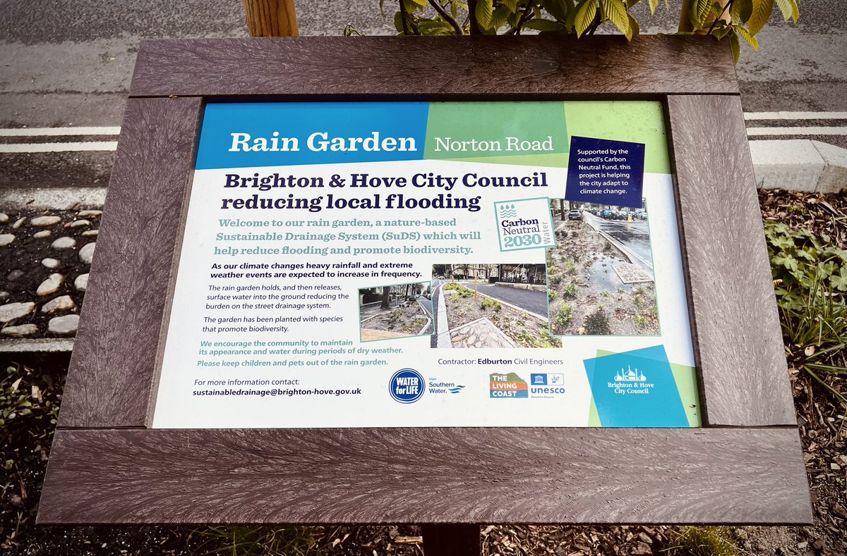 rowkz's tweet photo. Great to see our new rain garden in Hove beginning to bloom! 

Aside from looking great, these Sustainable Drainage Schemes (SuDS) capture surface water during heavy rainfall, helping to alleviate the risk of flooding. (🧵1/2) https://t.co/ovNonxGJYE