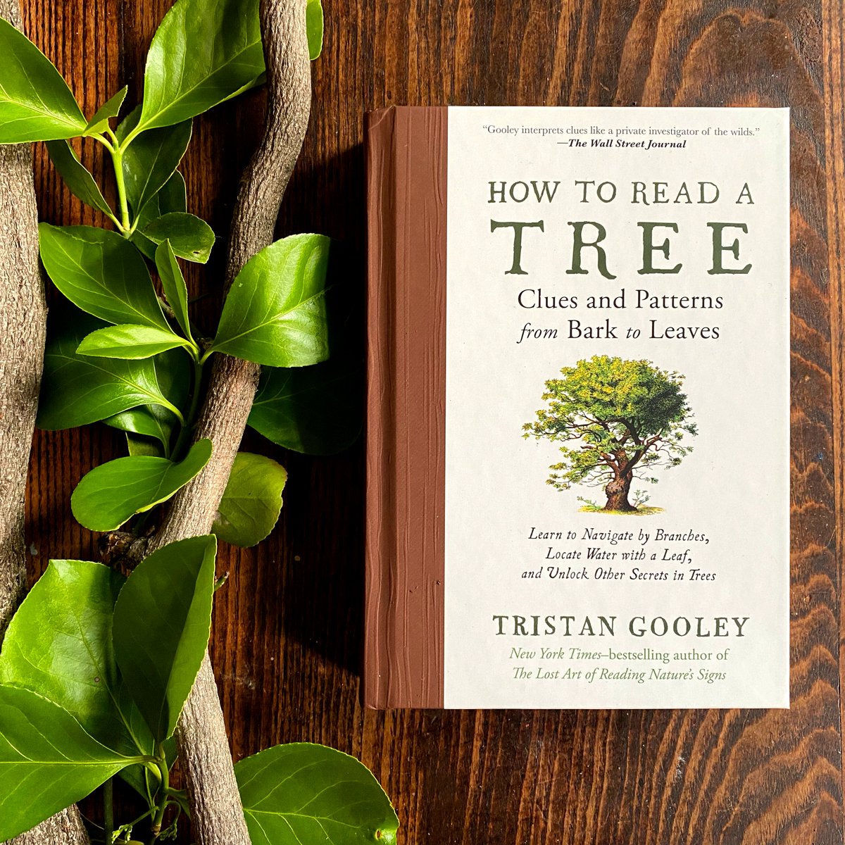 Celebrate #ArborDay with @NaturalNav's HOW TO READ A TREE. This guide to reading bark, branches, and leaves reveals what #trees can teach us about our #natural surroundings. Trees tell a story, but only to those who know how to #read it. Get your copy at bit.ly/HowtoReadaTree.