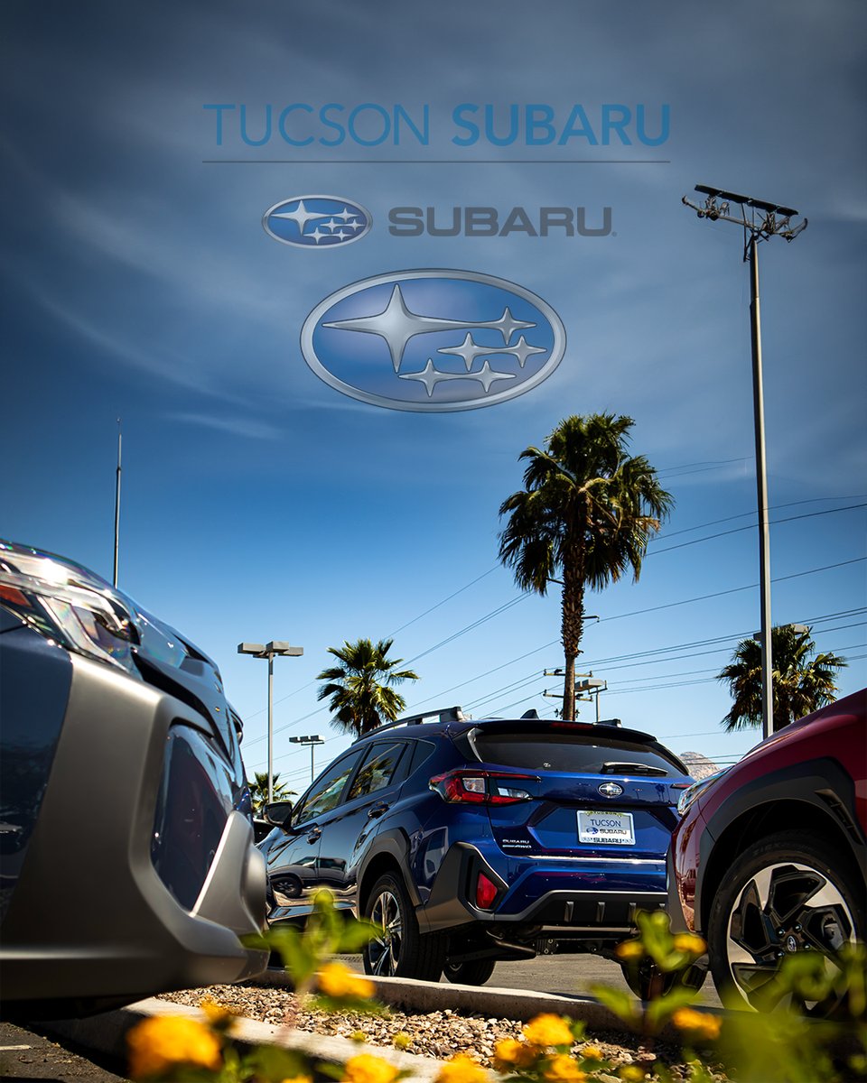 🚗 Rev Up Your Drive with Tucson Subaru's Latest Lineup! 🚗
Looking to ignite your journey with style, safety, and unbeatable performance? Look no further than Tucson Subaru's brand-new lineup of Subaru's! 🌟
📞Call us at (520) 721-2400 #Arizona #ExploreMore #newcar #outdoortrip