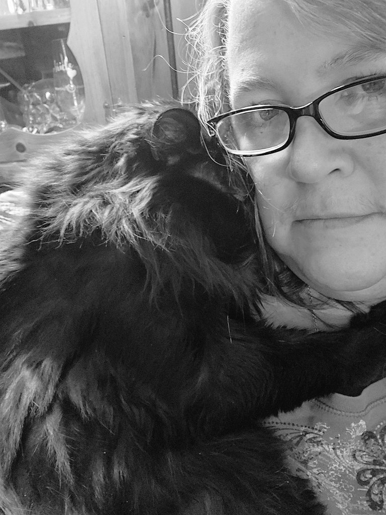 Shellyberry72's tweet photo. @runner_scarlet And my cat Haggis for bonus https://t.co/WMpM9HFE33
