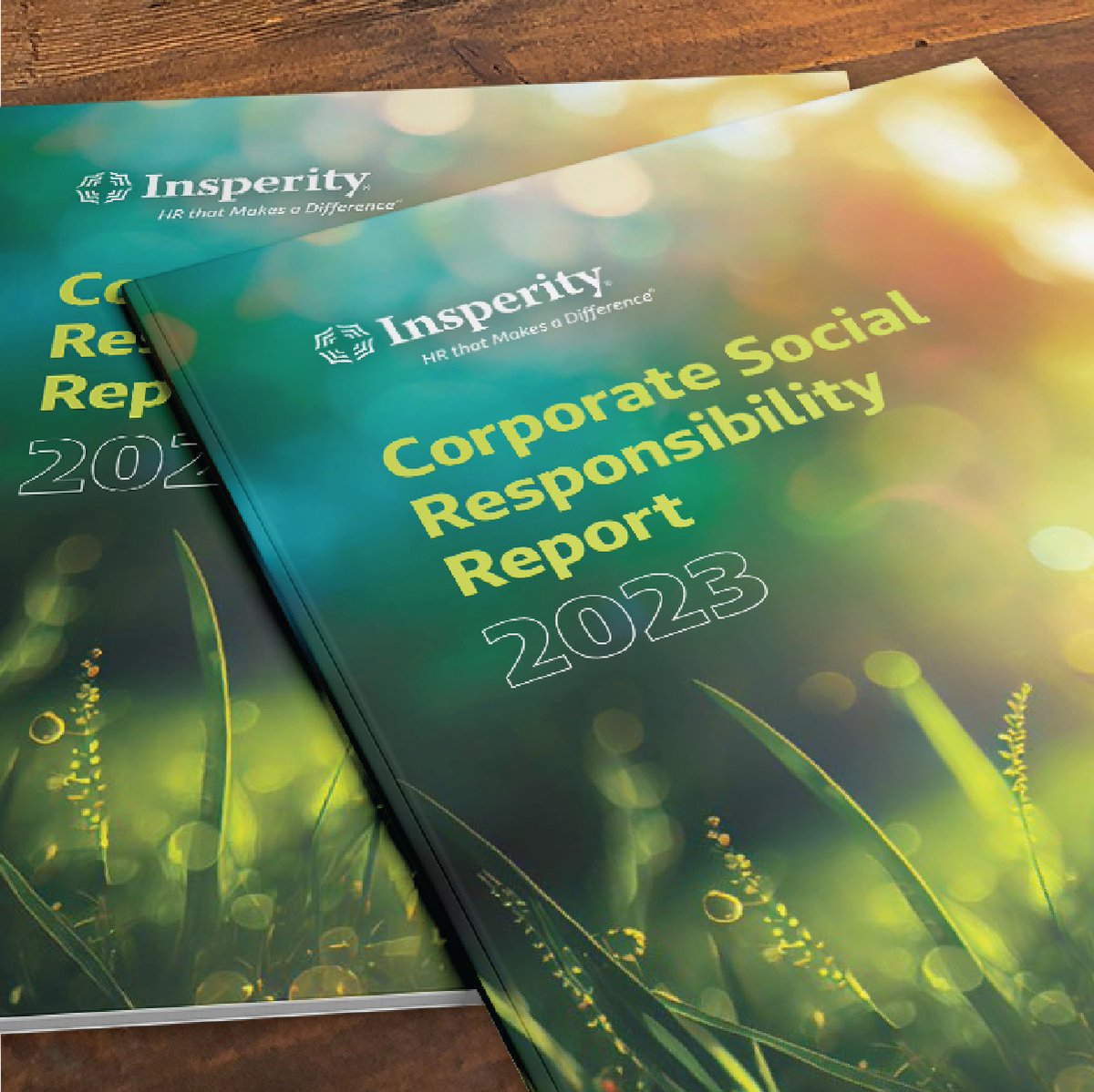 Thrilled to unveil our 2023 #CorporateSocialResponsibility Report! 📚📊

This report highlights our ongoing commitment to a positive company culture, fostering a sense of belonging & environmental stewardship. 

Take a look here ➡️ bit.ly/3JyOAiP 🌍

#InsperityCSR