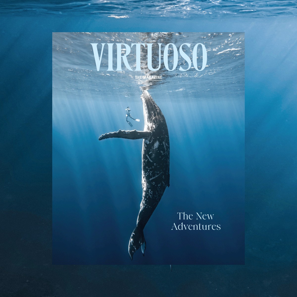 The May/June Virtuoso, The Magazine captures the combination of kismet and careful planning that goes into making travel magic, such as snorkeling with 40-ton marine mammals. To get the latest issue, connect with a travel advisor. ➡️ virtuoso.ltd/traveladvisors 📷: Rachel Moore