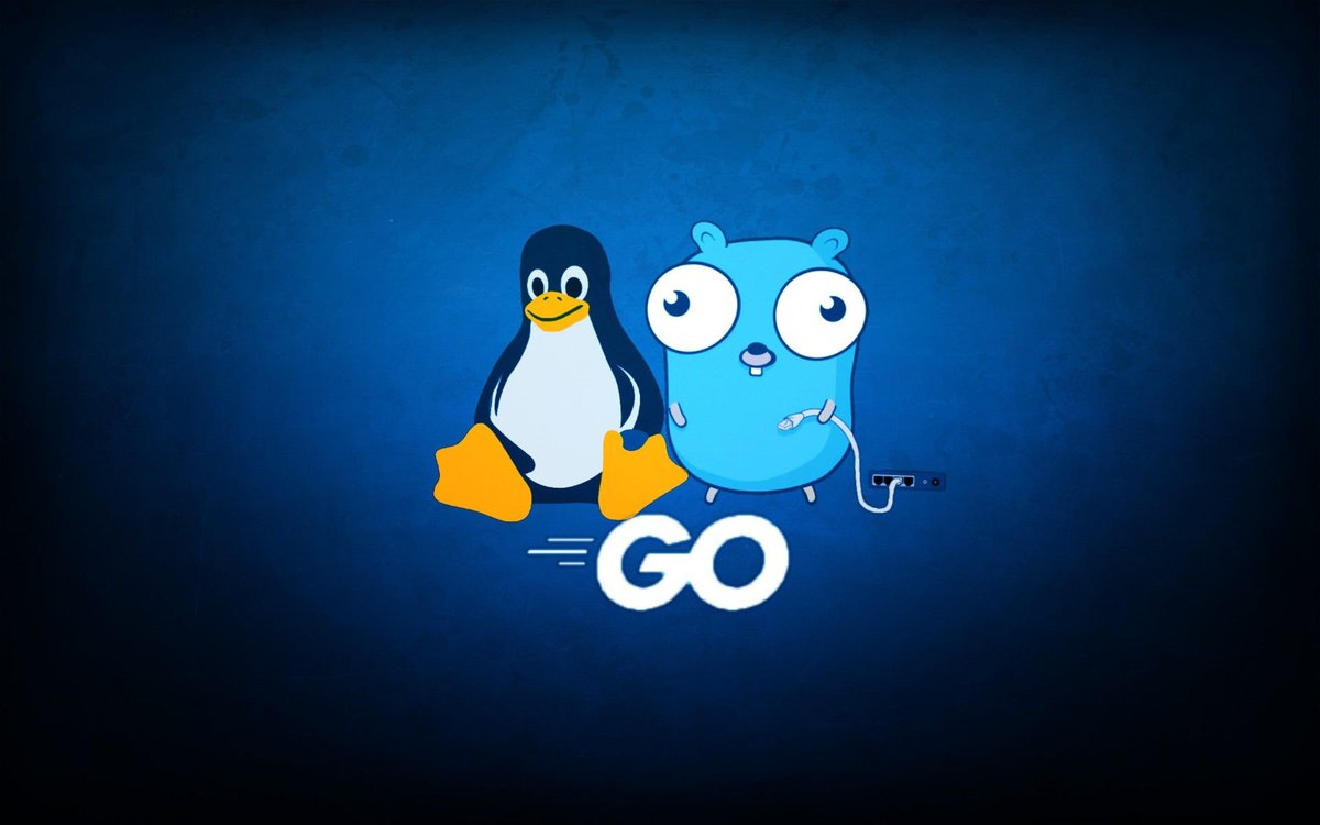 After short afers with Rust and Java, I can say my true love is #golang 
I have fun working and building CLIs and network apps in Go. It just makes me happy :-) 

I think from now on I will be streaming mostly Golang. ✌️