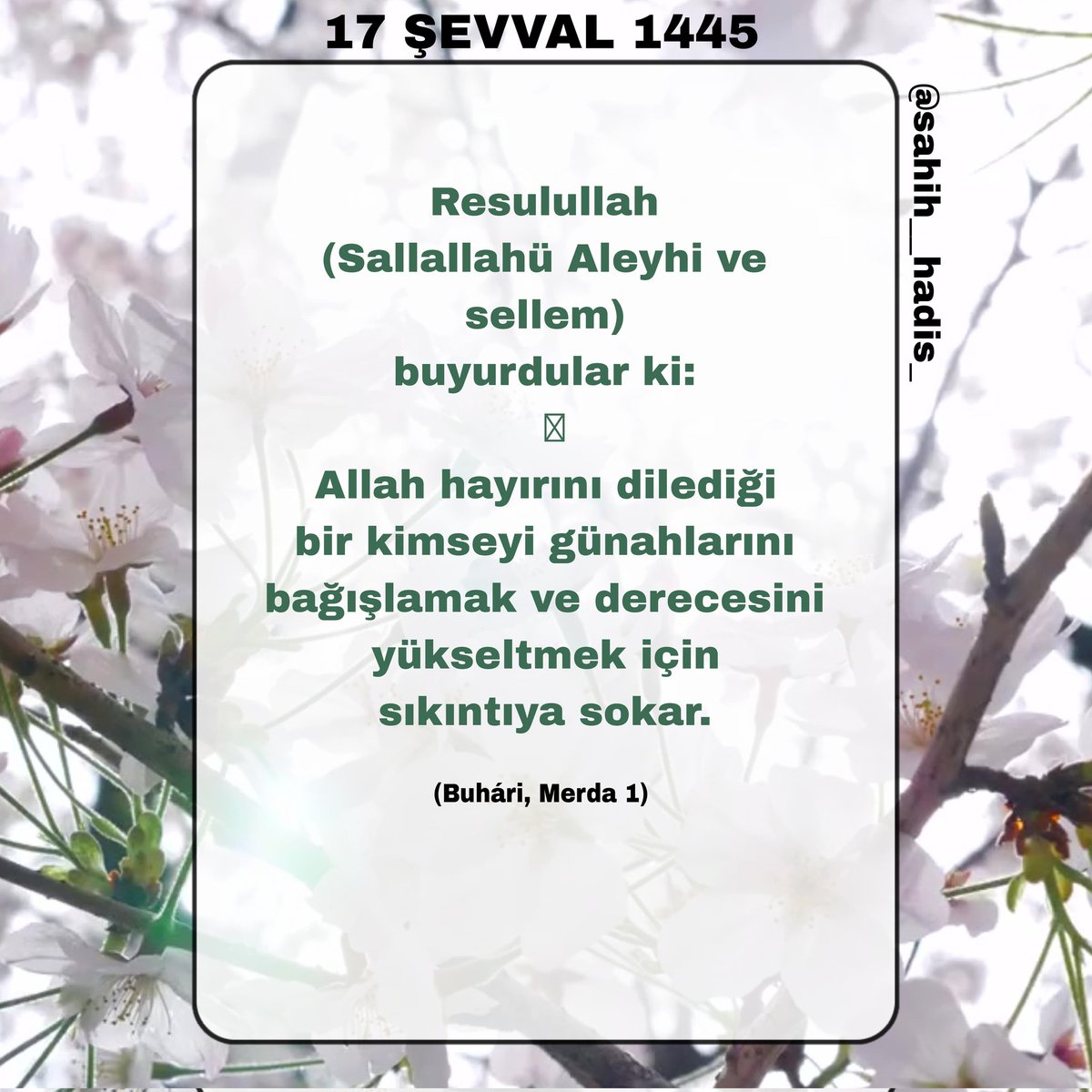 Resulullah (Sallallahü Aleyhi ve sellem) buyurdular ki: Allah hayırını dilediği bir kimseyi günahlarını bağışlamak ve derecesini yükseltmek için sıkıntıya sokar. (Buhári, Merda 1)