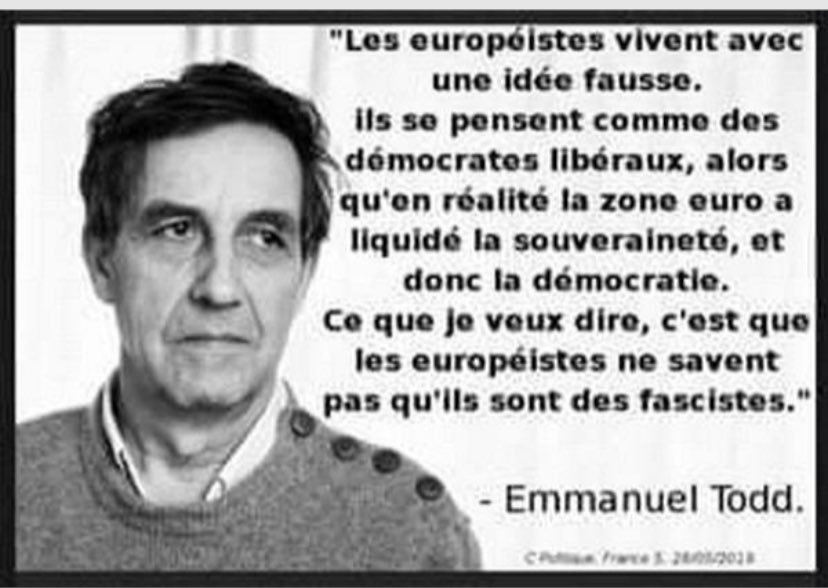 @ValerieHayer @EmmanuelMacron Votre projet est la destruction finale de la France et la confiscation totale de la démocratie.