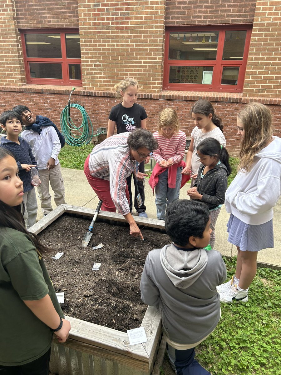 Ms_Welch1's tweet photo. Today we were scientists!  We collaborated with our 4th grade buddies and planted a garden. We also observed a sprouting cucumber plant and drew scientific drawings. So fun! https://t.co/ZH6NLYw9R0