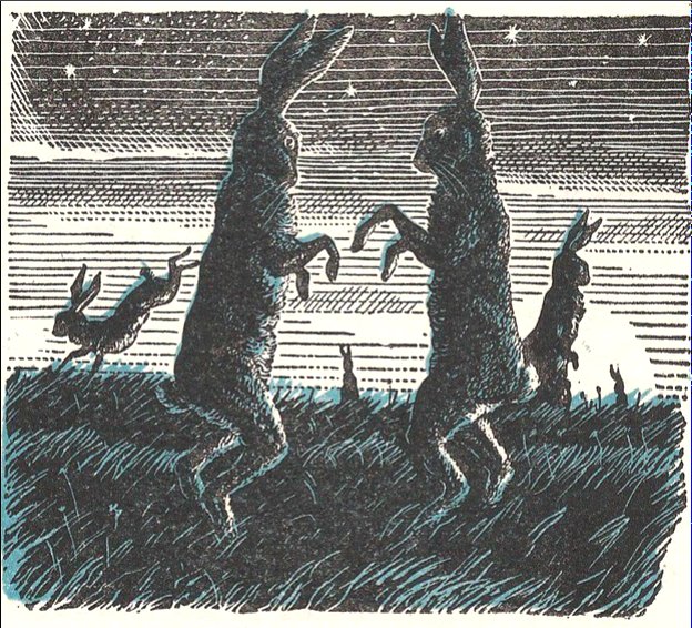 Untitled #illustration by Betty Broadbent

#rabbitts