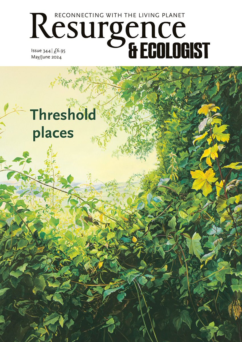 Threshold Places Issue 344 • May/June 2024 resurgence.org/magazine/issue… The theme of this issue is threshold places, and by those we mean those unseen and often unnoticed places where change is already afoot but where ‘what was’ is not quite ended and ‘what will become’ has not yet