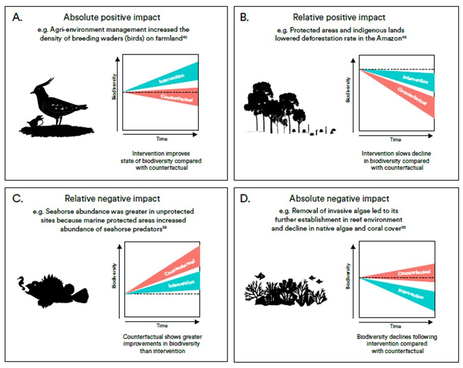 Stuart Butchart (@stubutchart) on Twitter photo Does conservation work? Our paper by <a href="/rewild/">Re:wild</a> shows that it does: a global analysis of 665 trials (incl. several by <a href="/RSPBScience/">RSPB Science</a>) found that conservation improved the state of biodiversity or slowed declines in two-thirds of cases <a href="/BirdLife_Sci/">BirdLife Science</a> science.org/doi/10.1126/sc… Does conservation work? Our paper by <a href="/rewild/">Re:wild</a> shows that it does: a global analysis of 665 trials (incl. several by <a href="/RSPBScience/">RSPB Science</a>) found that conservation improved the state of biodiversity or slowed declines in two-thirds of cases <a href="/BirdLife_Sci/">BirdLife Science</a> science.org/doi/10.1126/sc…