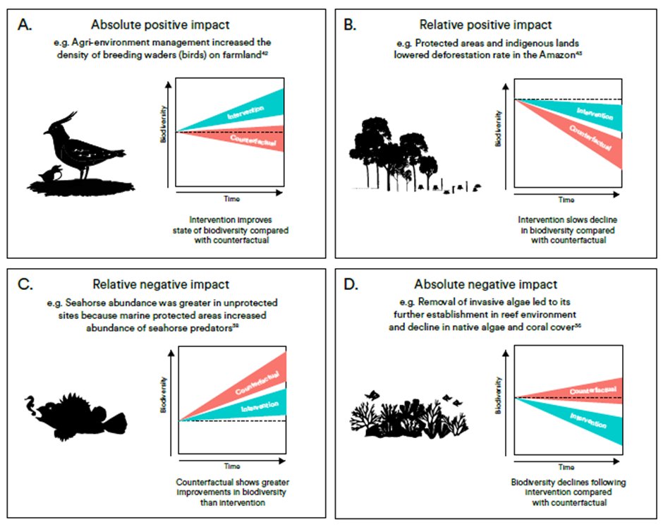 Does conservation work? Our paper by @rewild shows that it does: a global analysis of 665 trials (incl. several by @RSPBScience) found that conservation improved the state of biodiversity or slowed declines in two-thirds of cases @BirdLife_Sci science.org/doi/10.1126/sc…