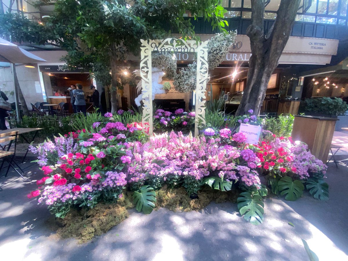 🌺La CDMX se pinta de colores con el Festival de Flores y Jardines 2024 en Polanco Fotos: Alberto Acosta I EL UNIVERSAL