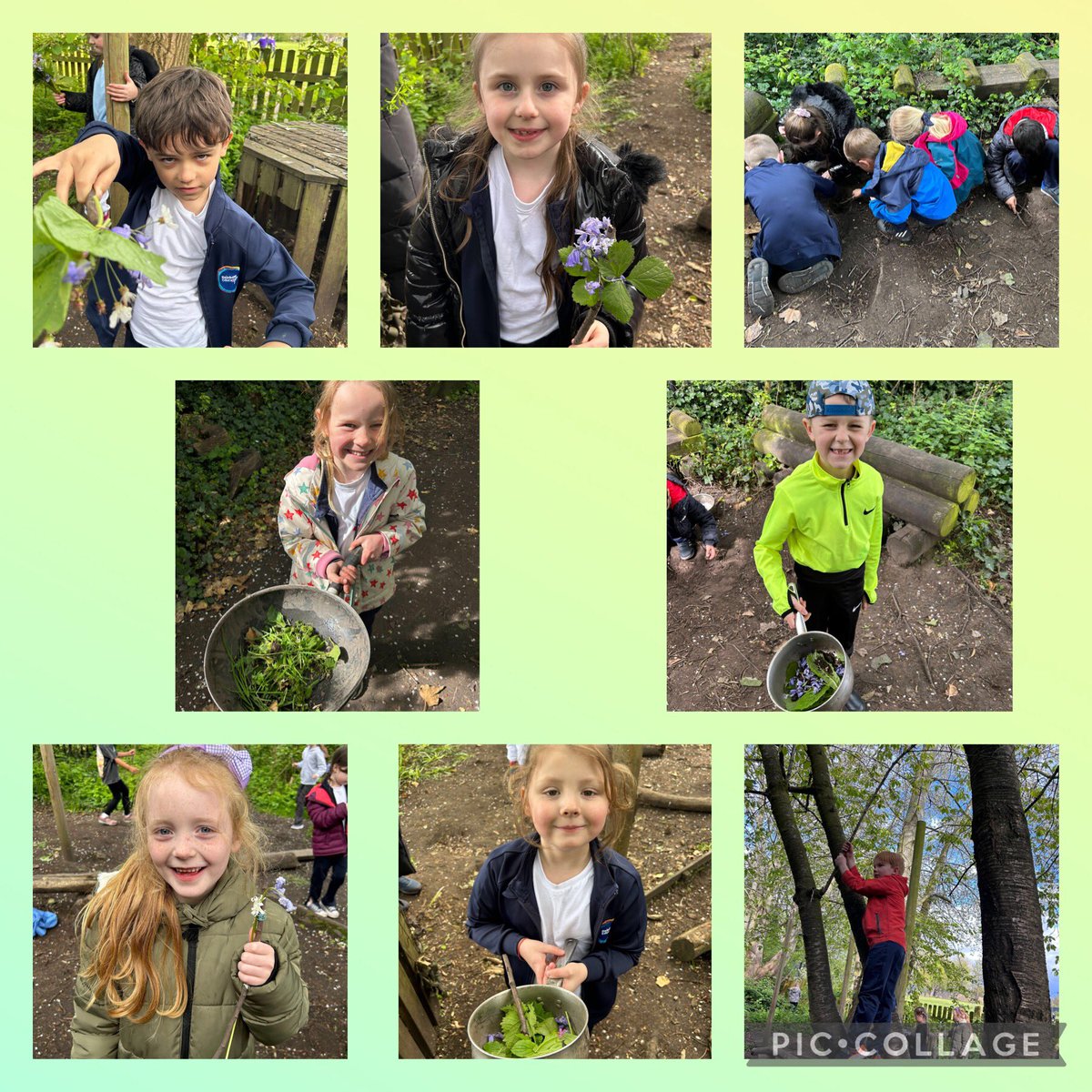 Just look at those faces 🥰 Year 2 love forest school club 🌳 🌲 🍃 🌷🌿🌼 @GarstonCE