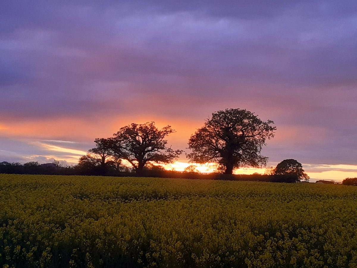 I'm glad I made the last minute decision to pop out quickly ahead of sunset this evening. #Shropshire #loveukweather
