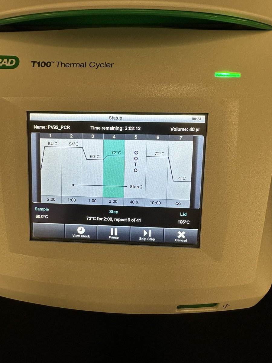 Kelsey Wilson (@kelswilson3) on Twitter photo After learning about it in the Fall, seniors are ✨primed✨& ready to be ✨masters✨ of PCR in the lab.
<a href="/IrvingHigh/">Irving High School</a> <a href="/iisdCTE/">Irving ISD CTE</a> <a href="/IrvingISD/">Irving ISD</a> <a href="/BioRadEducation/">Bio-Rad Explorer</a> After learning about it in the Fall, seniors are ✨primed✨& ready to be ✨masters✨ of PCR in the lab.
<a href="/IrvingHigh/">Irving High School</a> <a href="/iisdCTE/">Irving ISD CTE</a> <a href="/IrvingISD/">Irving ISD</a> <a href="/BioRadEducation/">Bio-Rad Explorer</a>