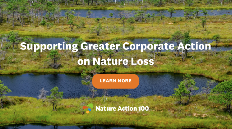 Nature Action 100, the first global investor-led engagement initiative to address nature and biodiversity loss, has revealed a set of benchmark indicators that will be used to assess the nature-related ambition and action of the initiative’s 100 companies: natureaction100.org/nature-action-…