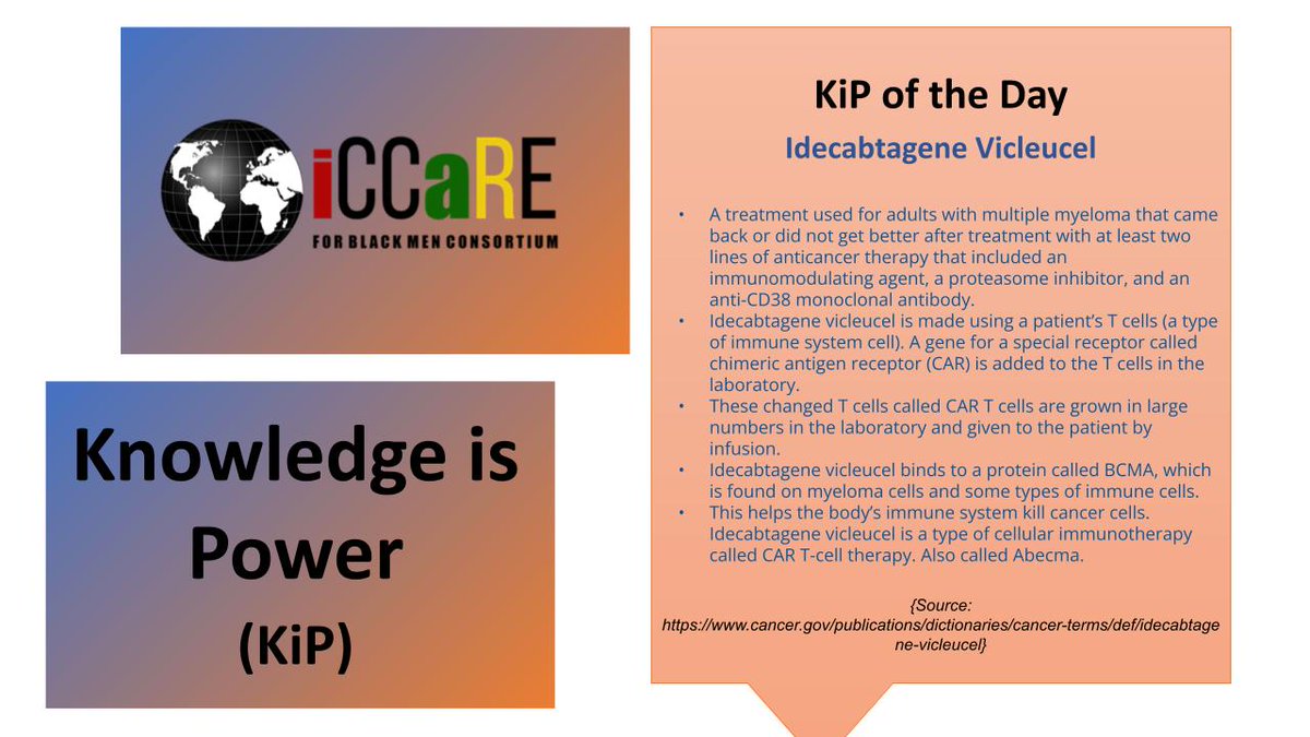 @iCCaRE4BlackMen presents the #KnowledgeIsPower of the day:      

Idecabtagene Vicleucel   

#RepresentationMatters 
#CloseTheCareGap