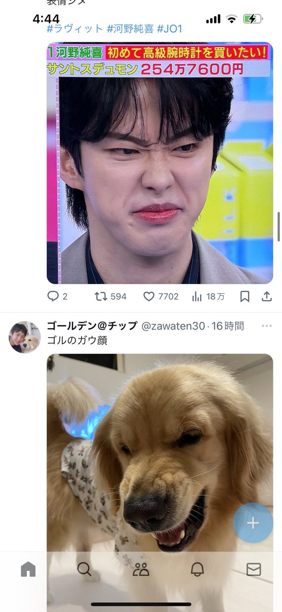 fuwakidayo's tweet photo. 1人で笑ってる https://t.co/D2YewxjRuD