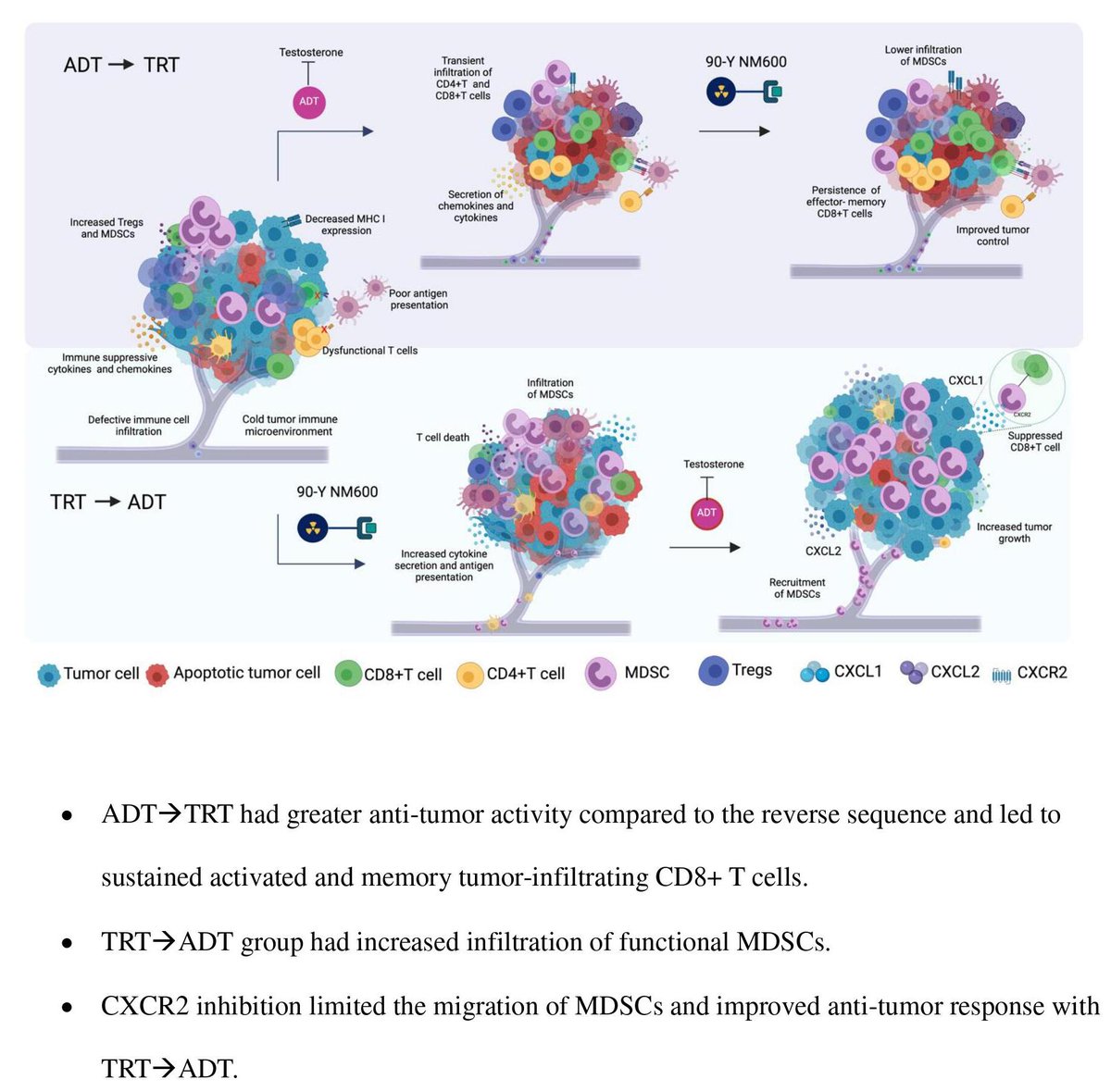 New #JITC article: Myeloid-derived suppressor cells attenuate the antitumor efficacy of radiopharmaceutical therapy using 90Y-NM600 in combination with androgen deprivation therapy in murine prostate tumors bit.ly/3vYFcSN