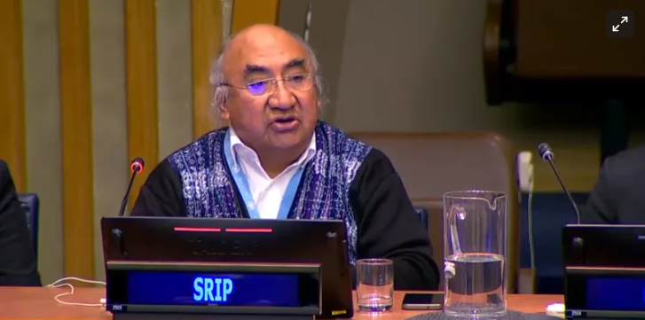 UN Special Rapporteur on the rights of #IndigenousPeoples calls for moratorium on #CarbonMarkets by @reddmonitor open.substack.com/pub/reddmonito…