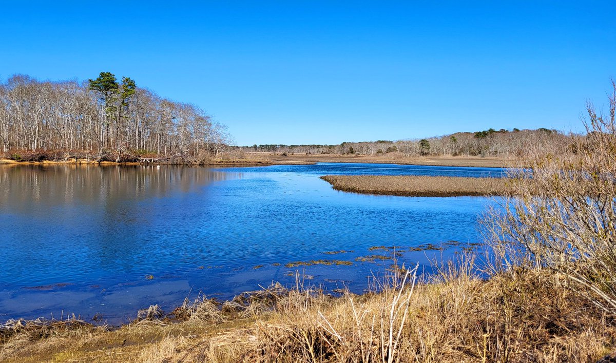 Nothing but sunshine and blue skies at the Herring River and Bells Neck Conservation Area in West Harwich, #CapeCod.