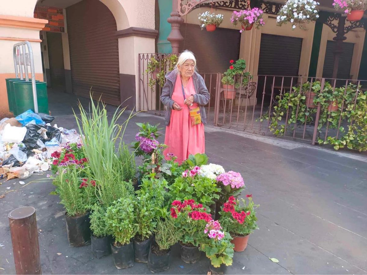 Una entrañable abuelita ha abierto su propio negocio de flores y plantas en Cuernavaca, pero lamentablemente no ha tenido mucho éxito en sus ventas.

 ¡Vamos, Cuernavaca, demostremos que somos una comunidad unida y generosa! 👵🌸🌿