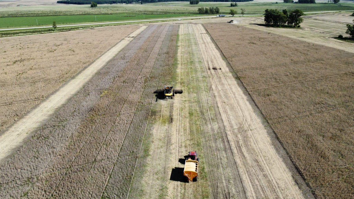 Luis Morales tweet media