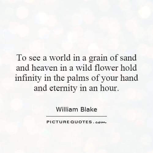 To see the world in a grain of sand. #motivation #inspiration #quotes
