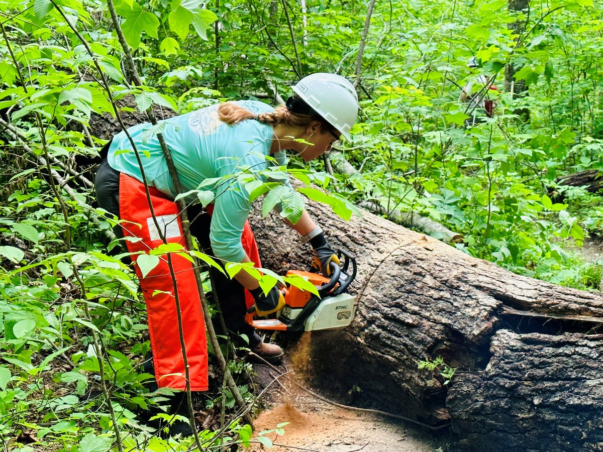 Volunteers got talent? In 2023, more than 71k volunteers contributed 2.6 million hours of their time, skills, and talent to help people have safe, meaningful experiences in our national forests & grasslands. We thank you! #NationalVolunteerWeek #NatureConnectsUs
