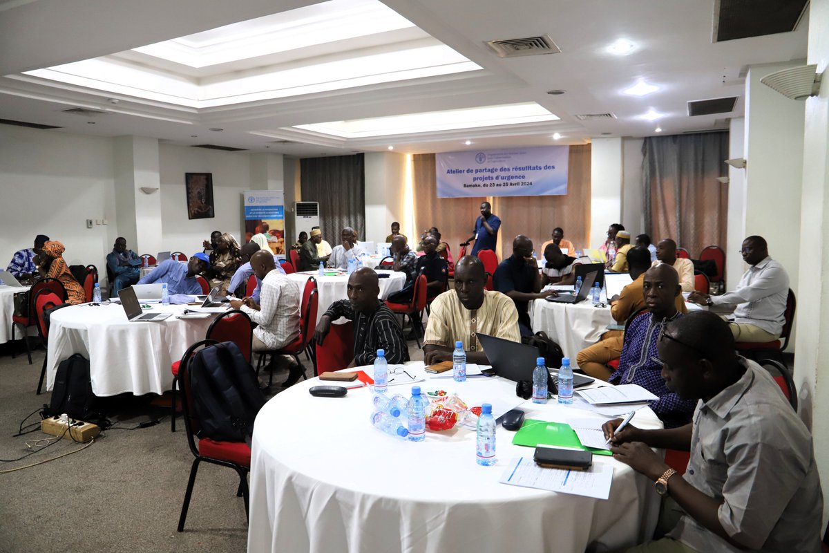 FAOMali's tweet photo. Fin aujourd'hui à #Bamako d'un atelier de 3️⃣ jours sur la mise en œuvre des projets d'#urgences #FAO au #Mali .@FAOMali et ses partenaires notamment les services techniques de l'Etat et les ONG ont échangé sur plusieurs aspects de la collaboration pour un meilleure assistance. https://t.co/VziupIzE8f