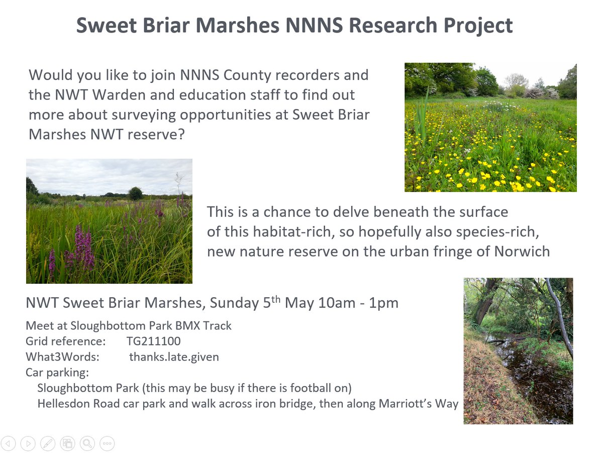 On Sunday 5th May some of our county recorders and specialist group co-ordinators are meeting NWT staff at Sweet Briar Marshes to find out more about how we can help record wildlife there. If that sounds of interest you are welcome to join us, details below: