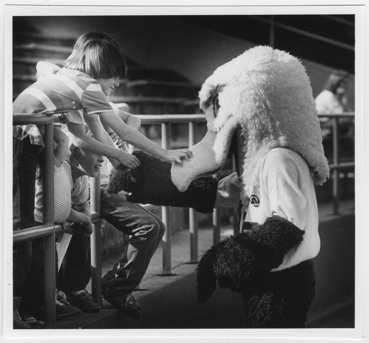 UNTsocial's tweet photo. He’s beauty and he’s grace. He’s a mascot with many a different face! 🦅   This #TBT we are throwing it back to when @NTScrappy went from a live eagle to the legend we know and love today. https://t.co/aY9o5J8Axu