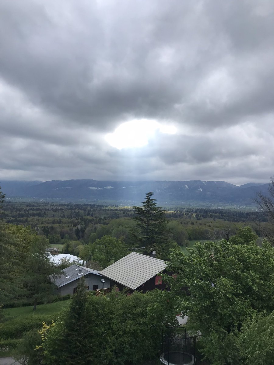 Dr. Johannes Pulsfort tweet media