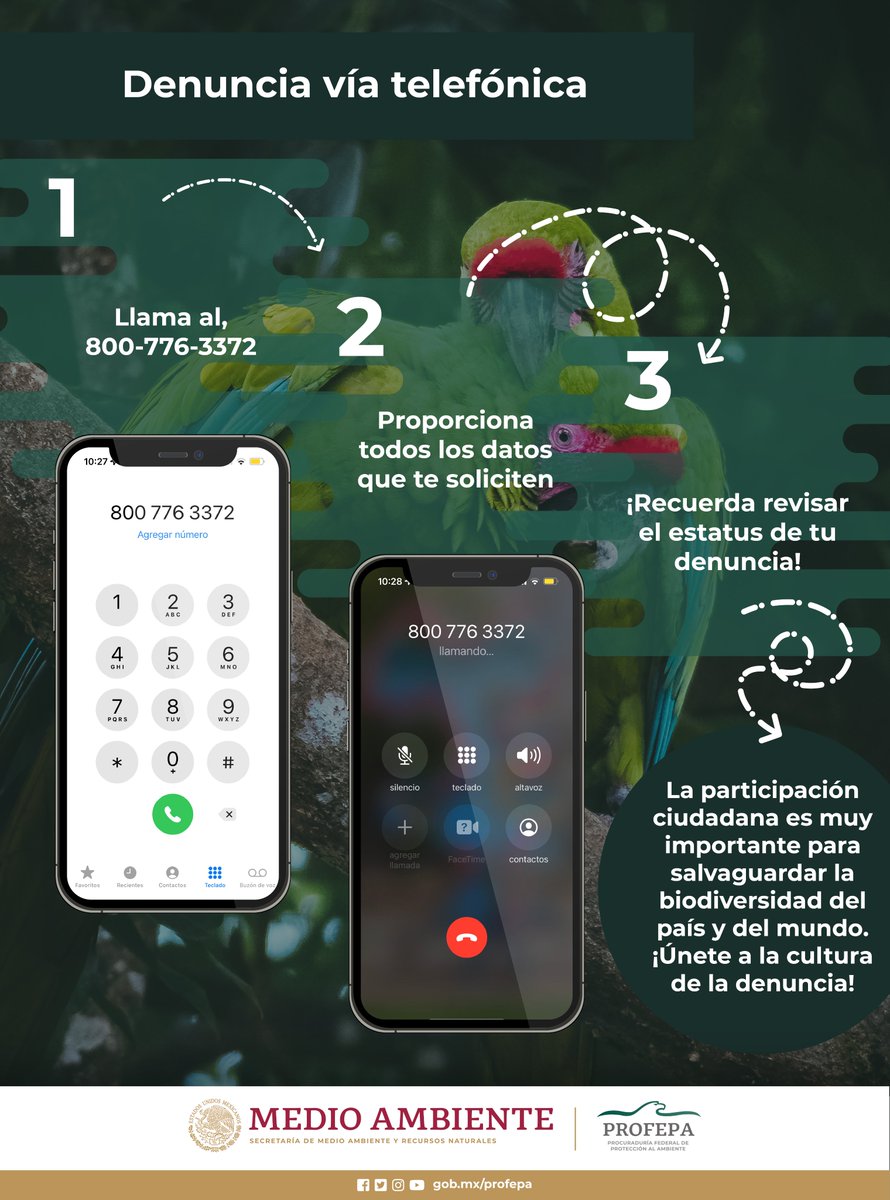 🔎 Para brindarte un mejor servicio, denuncia en los canales oficiales. ¡Conócelos! 👉🏾 bit.ly/3vNj2T6 🦜🦅 ¡Tu participación es muy importante! 🐯🦌 #ProfepaTeEscucha