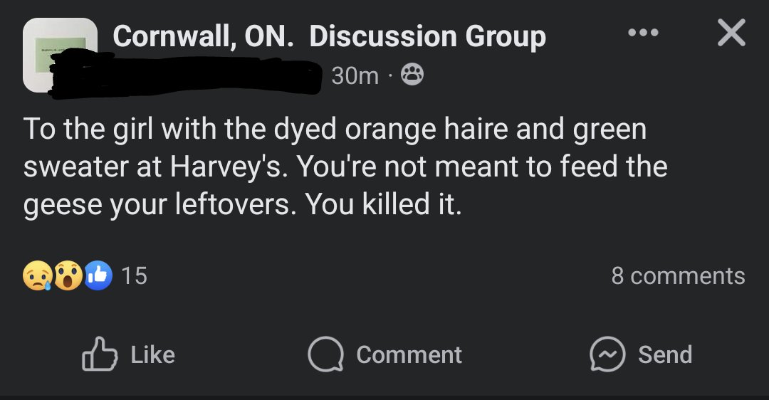 Here's the post about the goose. The goose did die. It happened at Harvey's like a week or so ago. I know she loves to lie and we love to have conspiracies but just ask me about Cornwall shit I'll probably know what's legitimate or not 😂😂 #FoodieBeauty