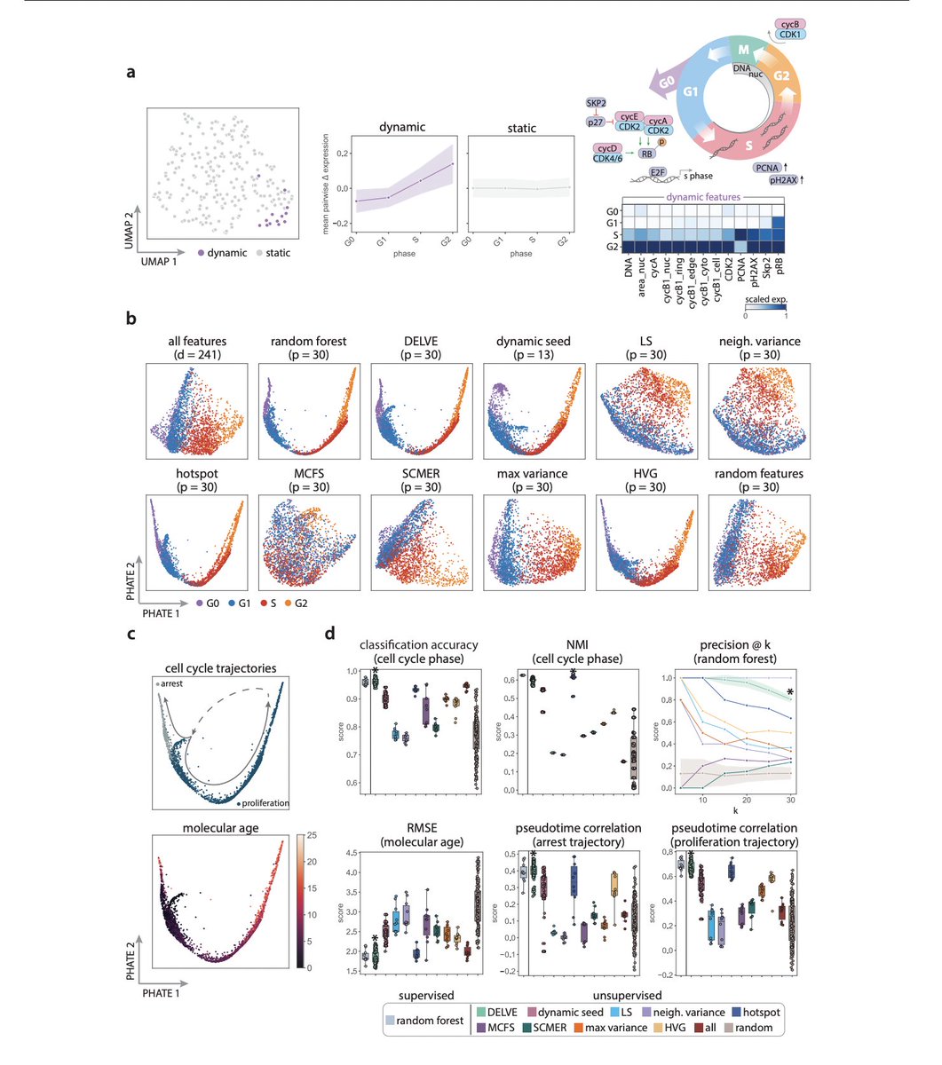 DELVE: feature selection for preserving biological trajectories in single-cell data | Nature Communications nature.com/articles/s4146… #Bioinformatics