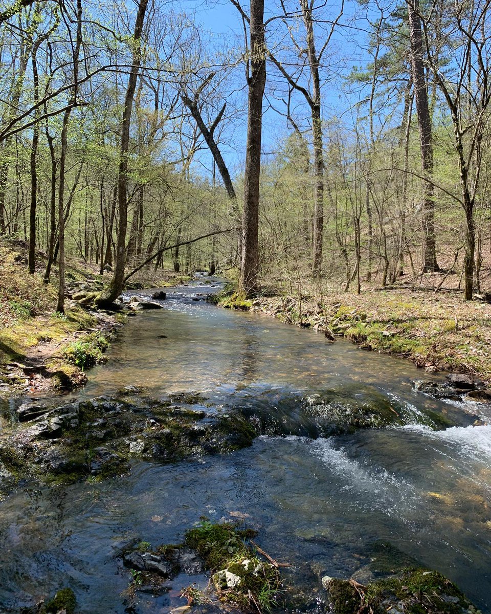 ArkStateParks tweet picture