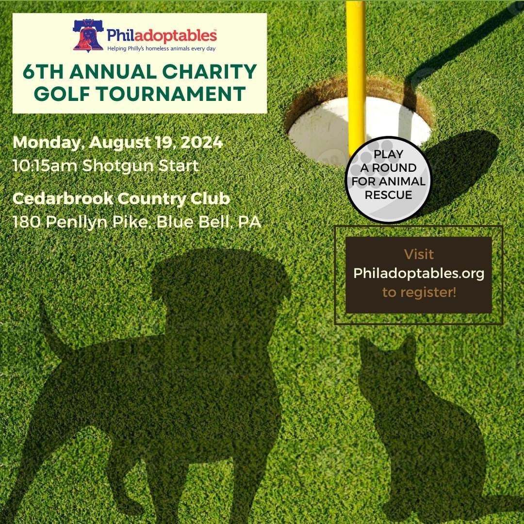 Philadoptables's tweet photo. It's time to register for everyone's favorite golf outing - Philadoptables 6th Annual Charity Golf Outing!  We are also seeking business sponsors.  Email Ali@philadoptables with any questions! #charitygolf #charitygolfouting #animalrescue @cedarbrookcc 

https://t.co/hNMYjQZc9M https://t.co/AqyXxx1Mws