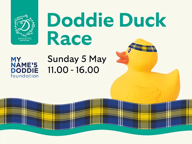 Not long to go now until the Doddie Duck Race at Dalkeith Country Park 🦆 We'd love to see you there. Tickets available below 👇 dalkeithcountrypark.co.uk/event/doddie-d…