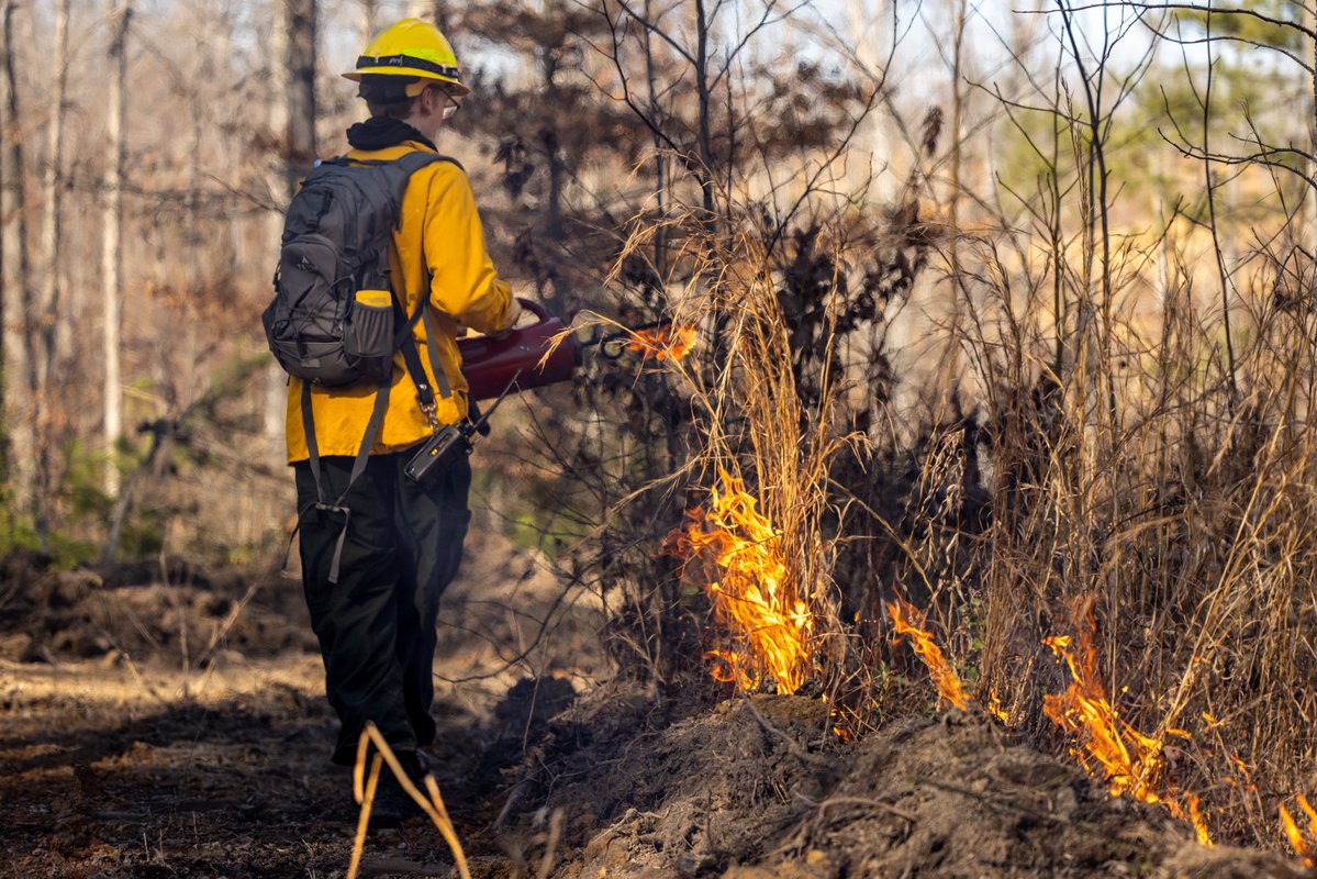 Many installations such as MCAS Cherry Point, MCAS Miramar, MCB Camp Lejeune, and MCB Quantico are helping the environment by conducting controlled burns which preserve wildlife habitats and natural resources. Photos Lance Cpl. M Williams and Lance Cpl. Joaquin Carlos Dela Torre