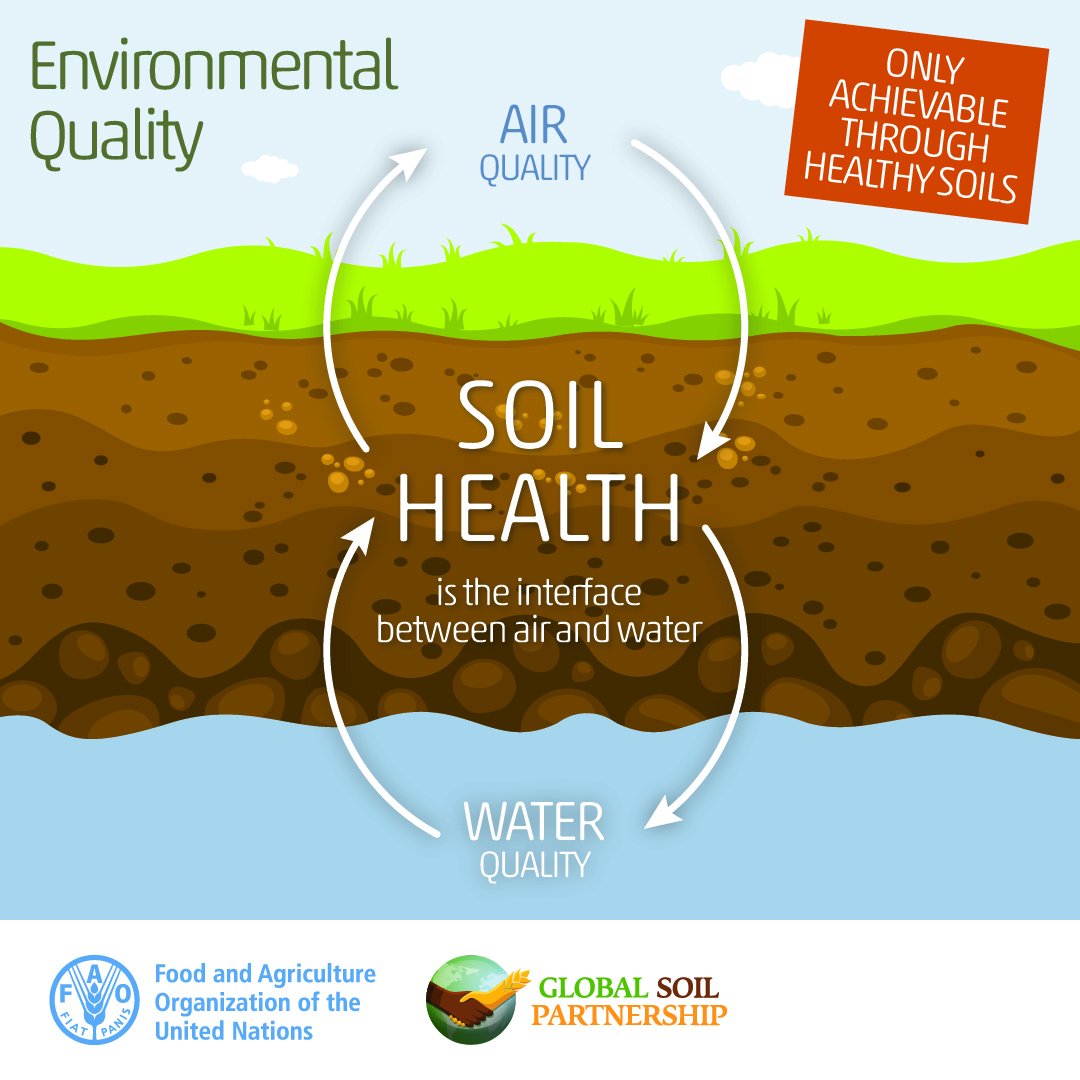 Healthy soil is the bridge between #air 🌬️ and water 💧 that keeps our planet in balance! 🌍 Let's make sure we're keeping this essential interface healthy for the benefit of the #Environment! #SoilHealth #SaveSoil #GlobalSoilPartnership 👉🏿 fao.org/global-soil-pa…