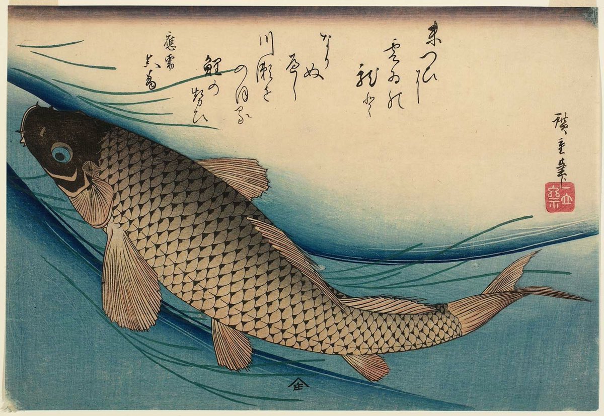 Carp, by Utagawa Hiroshige, 1840-1842 #ukiyoe