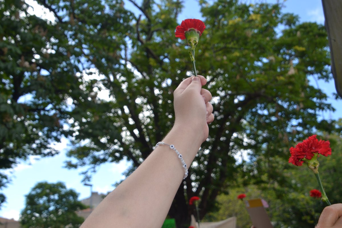 Os Verdes tweet media