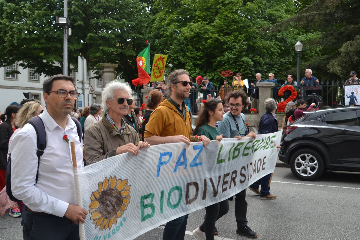 Os Verdes tweet media