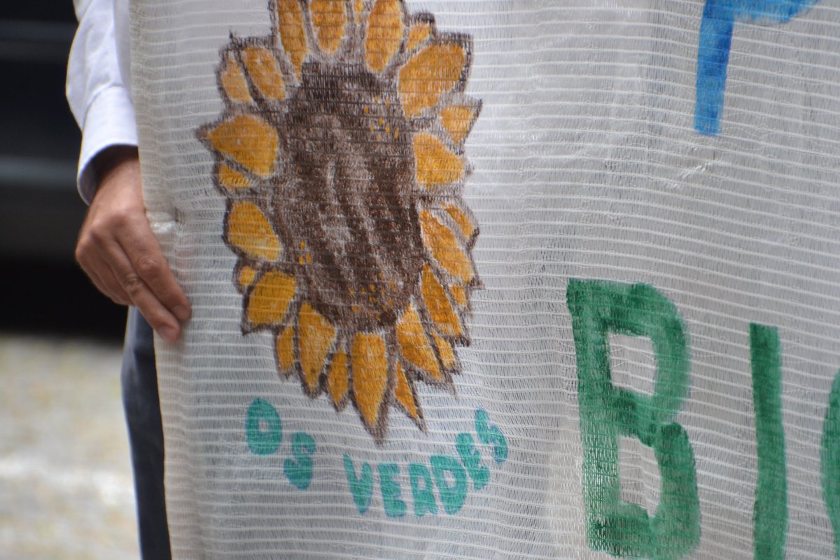 Os Verdes tweet media