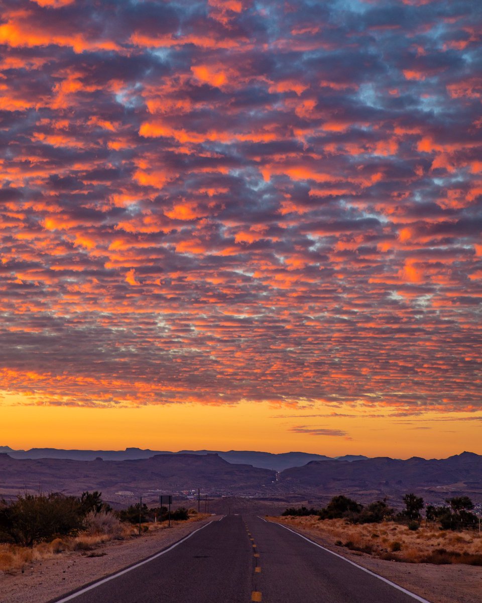 Those hometown Arizona sunsets… 🌅 🌵 ☀️