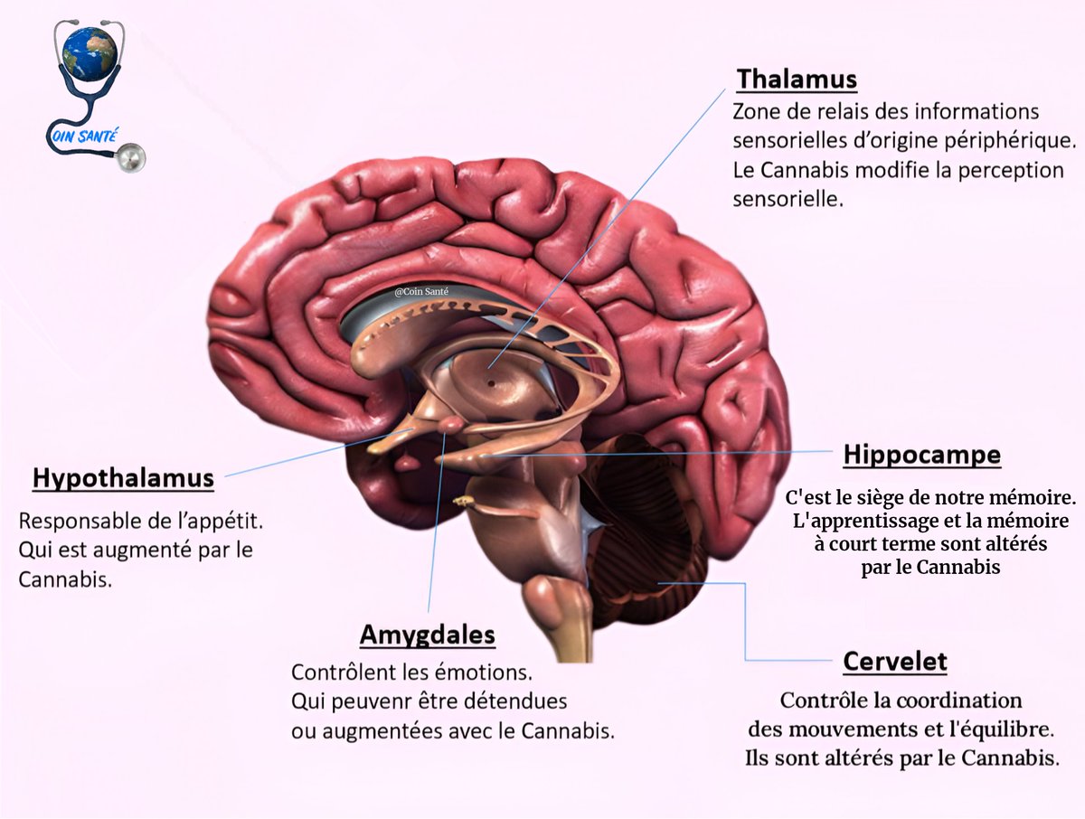 509_chery's tweet image. Voici les effets du ∆-9-Tétrahydrocannabinol contenant dans le Cannabis.
#abonnetoi #partage #commenter